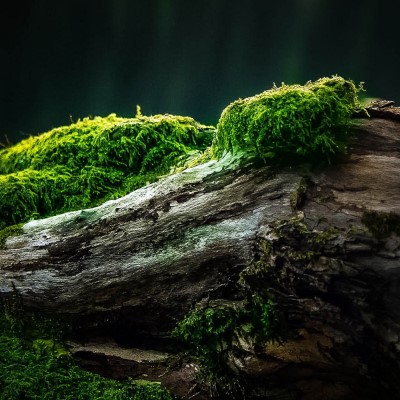 1920 x 1080 HD Wallpapers 2033